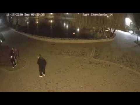 У Франківську в парку невідомі пошкодили подаровану скульптуру – вандалів розшукують. ВІДЕО