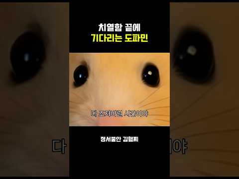 정서불안함의 끝