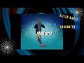 Killer Whale Encounter