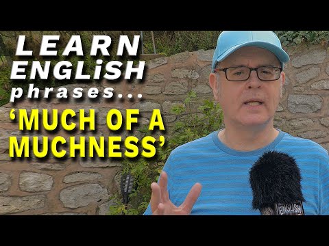 'Much of a Muchness' | What does this English phrase mean? #mrduncanenglish #englishlanguage