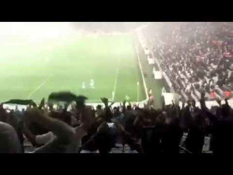 Corínthians x Grêmio - Brasileirão 2015 - Torcida comemora o gol do Grêmio