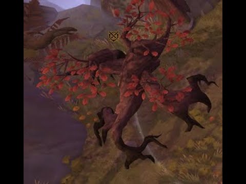 How to Solo an Ancient Spirit