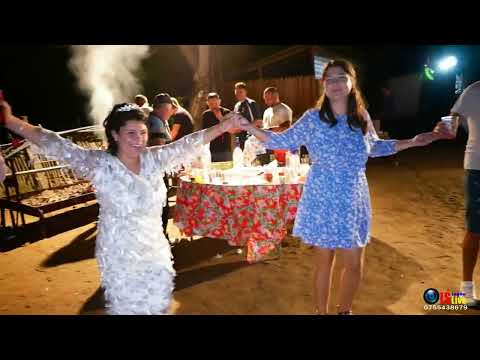 Nunta Cristina Stefania si Mihai -  Formatia Vica Gradinaru  - colaj hore  #17