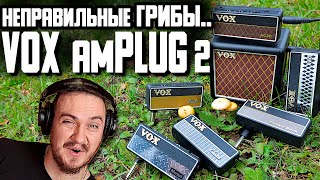 Video thumbnail for 🌲🍄ОБЗОР ИЗ ЛЕСА! VOX AmPlug2 by HardSound