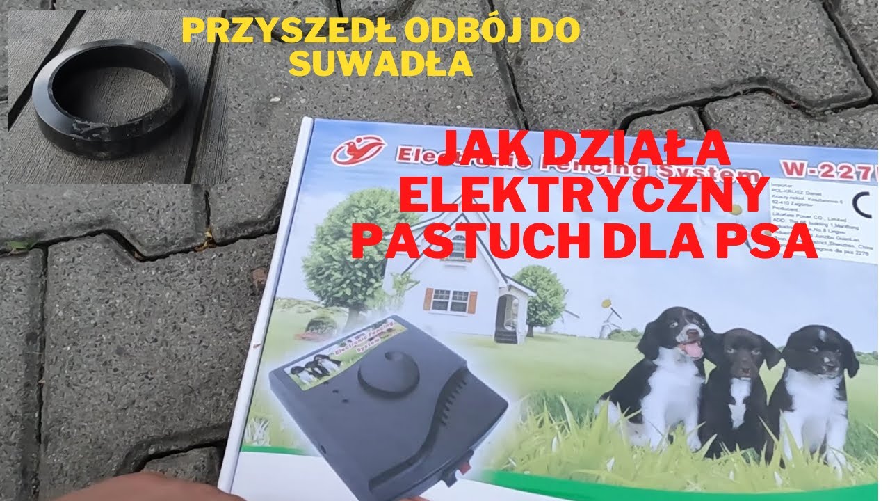 Jak działa elektryczny pastuch dla psa ODBÓJ DO SUWADŁA