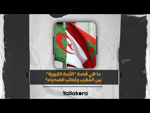 رئيس الجزائر يتدخل.. ما هي قصة "الأزمة الكروية" بين المغرب وثعالب الصحراء؟