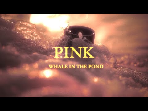 Whale in the Pond - Pink (Official Video)