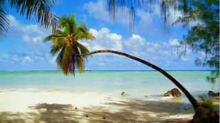 Café del Mar Vol. 14 - Training by Elmara