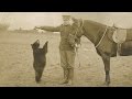 The Story Behind Winnie The Pooh