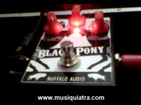Buffalo Audio Black Pony