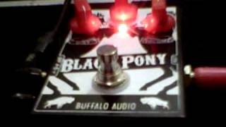 Buffalo Audio Black Pony