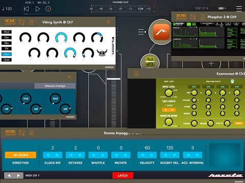 AUM Audio Mixer Set Up Tutorial With Focus on the ROZETA Arpeggio - for iPad