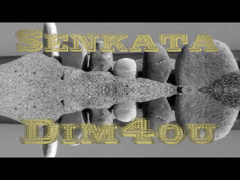 Сенката & Dim4ou + HRD (2009)