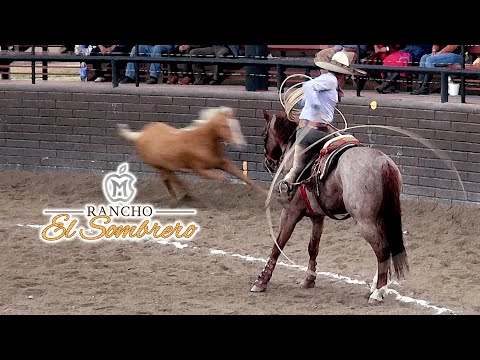 3 de 3 Manganas a Caballo - II Campeonato Rancho El Sombrero 2022