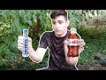 EXTREME Coke And Mentos EXPLOSION