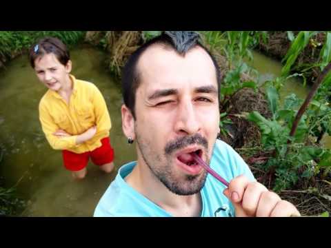 Baza Ulmu Indiegogo Campaign