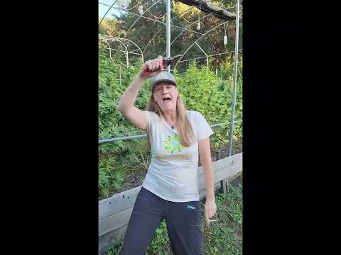 Happy Croptober Friends!