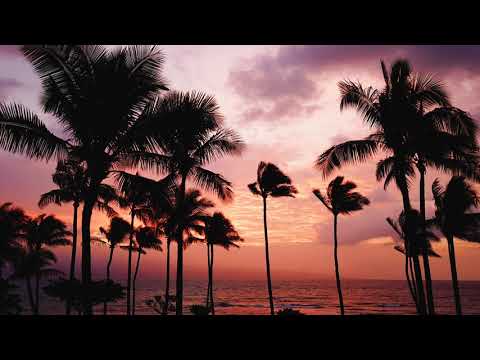 Maor Levi feat. Ashley Tomberlin - Chasing Love (Original Mix)