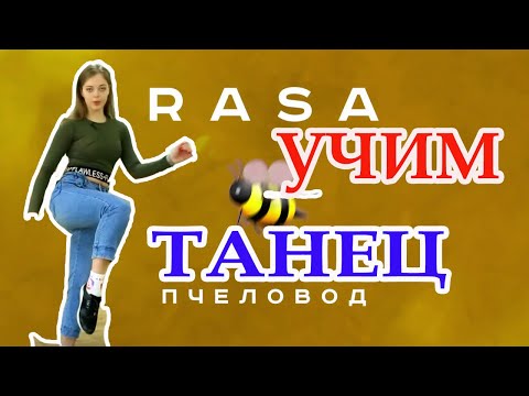 ПРОСТЫЕ ТАНЦЕВАЛЬНЫЕ ДВИЖЕНИЯ ДЛЯ НАЧИНАЮЩИХ - RASA - Пчеловод
