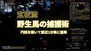 玄夜流 野生馬の捕獲術