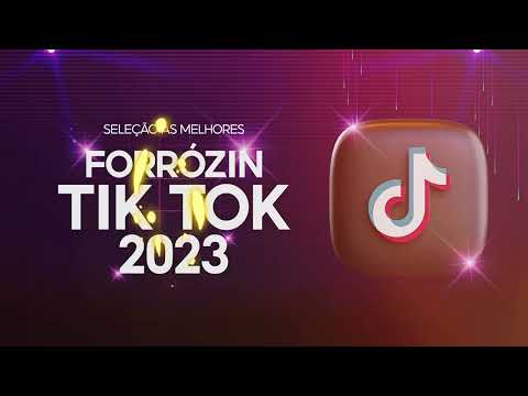 FORRÓZIN DO TIK TOK 2K23 - SELEÇÃO AS MELHORES - PRA PAREDÃO - DJ MIZZONTTI