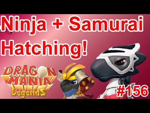 Hatching the Ninja and Samurai Dragons + More New Clan Stuff! - Dragon Mania Legends #156