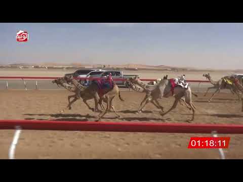   ش 22 (شاهين) لـ أحمد سالم هدفه العامري 2:17 , شارة الصندوق 2026/03/28 فطامين الروضة  