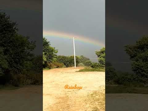 Rainbow at Maroof Farms
