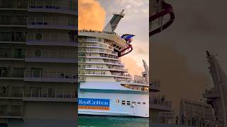 Oasis of the Seas 🛳️ #like #share #comment #subscribe #cruiseship #cruise #vacation #shorts #short