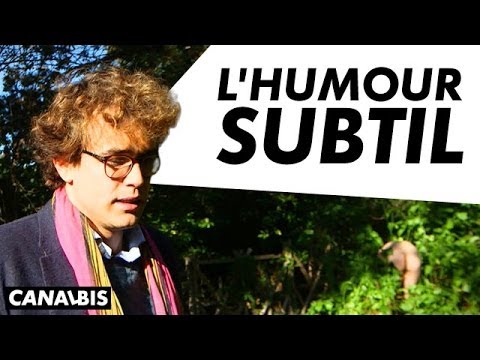 L'Humour Subtil - CANAL BIS