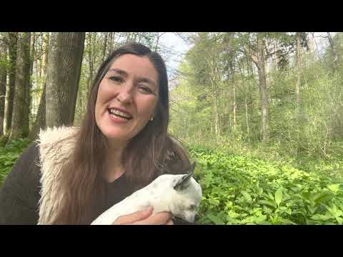 Seelen Gespräch mit dem Gott der Natur - Die heilige  Kraft des grünen Mannes