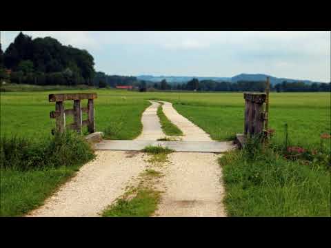 Sven Karlsson - In Our Home