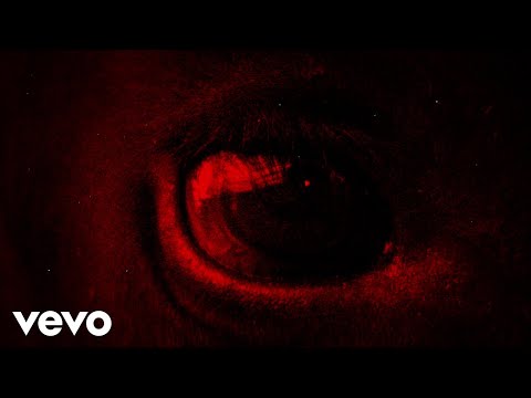 Video thumbnail for MORE BLOOD