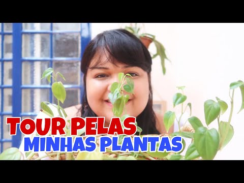 , title : 'TOUR PELAS PLANTAS | DICAS DE COMO CUIDAR DE PLANTAS  🌿🌵'