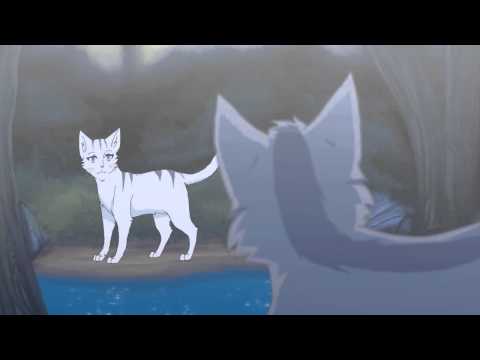 グレイストライプ×シルバーストリーム AMV- 行方不明者への賛歌 (Graystripe x Silverstream AMV- Hymn for the Missing)