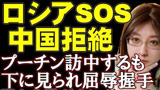 プーチンの大誤算！天然ガス1/5の中国からの価格要求。訪中して笑顔で握手する裏側のロシア衰退。中国寄りのロシア人は習近平に学校建設を懇願。ウクライナ情勢の解説