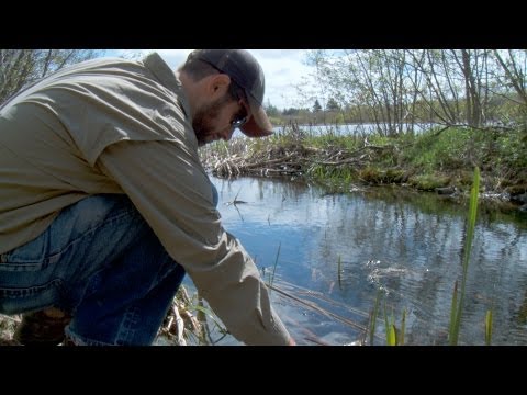 A Better Way to Swim Upstream