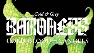Cold-Blooded Angels Music Video