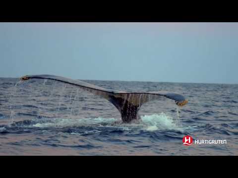 Hurtigruten - Customer Success Story