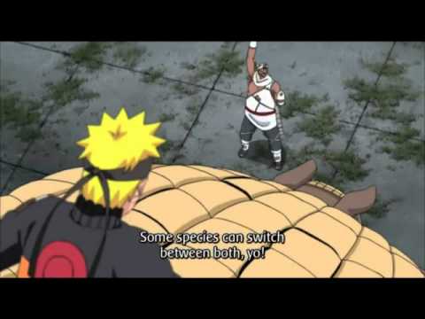 Killer Bee Rap - Fool ya fool!