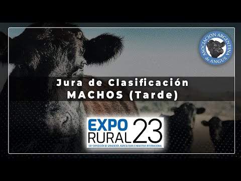 28-07-23 - 135º Expo Palermo - Jura Macho Tarde