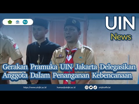 Propolis untuk potensi dalam resep laki-laki Apa yang harus membeli untuk menaikkan potensi