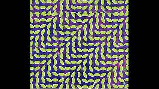 Animal Collective - Lion In A Coma