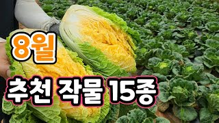 8월 안심으면 후회하는 작물 15가지! 지금 심어서 추석에 수확하는 작물 추천