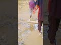 Bia Cha Na Re Angtokengana Bi Songde Music Cover