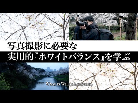 Apple TV 4K:白平衡测试给出的结果非常复杂