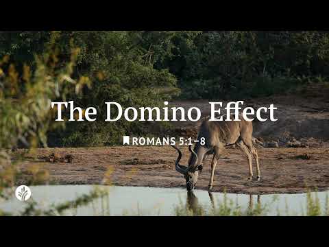 The Domino Effect | Our Daily Bread | Daily Devotional