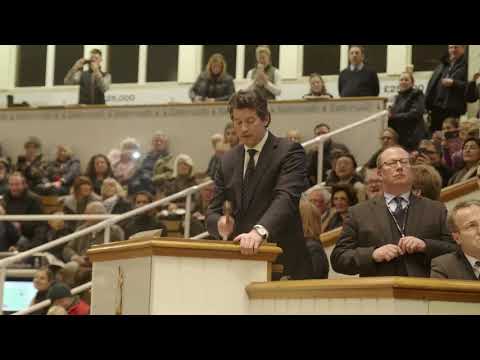 2018 Tattersalls December Mare Sale Entries