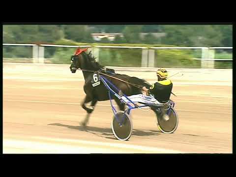 Trotto 11/09/2020 - 1ª corsa