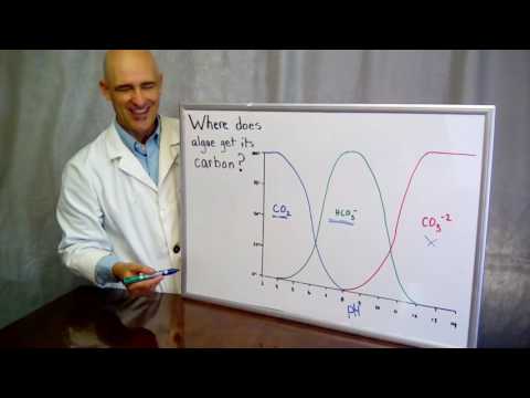 Carbon Speciation in Water